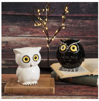 Hoot Bank (owl) Box Quantity 6