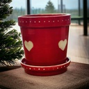 Flower Pot & Saucer (carton of 6)