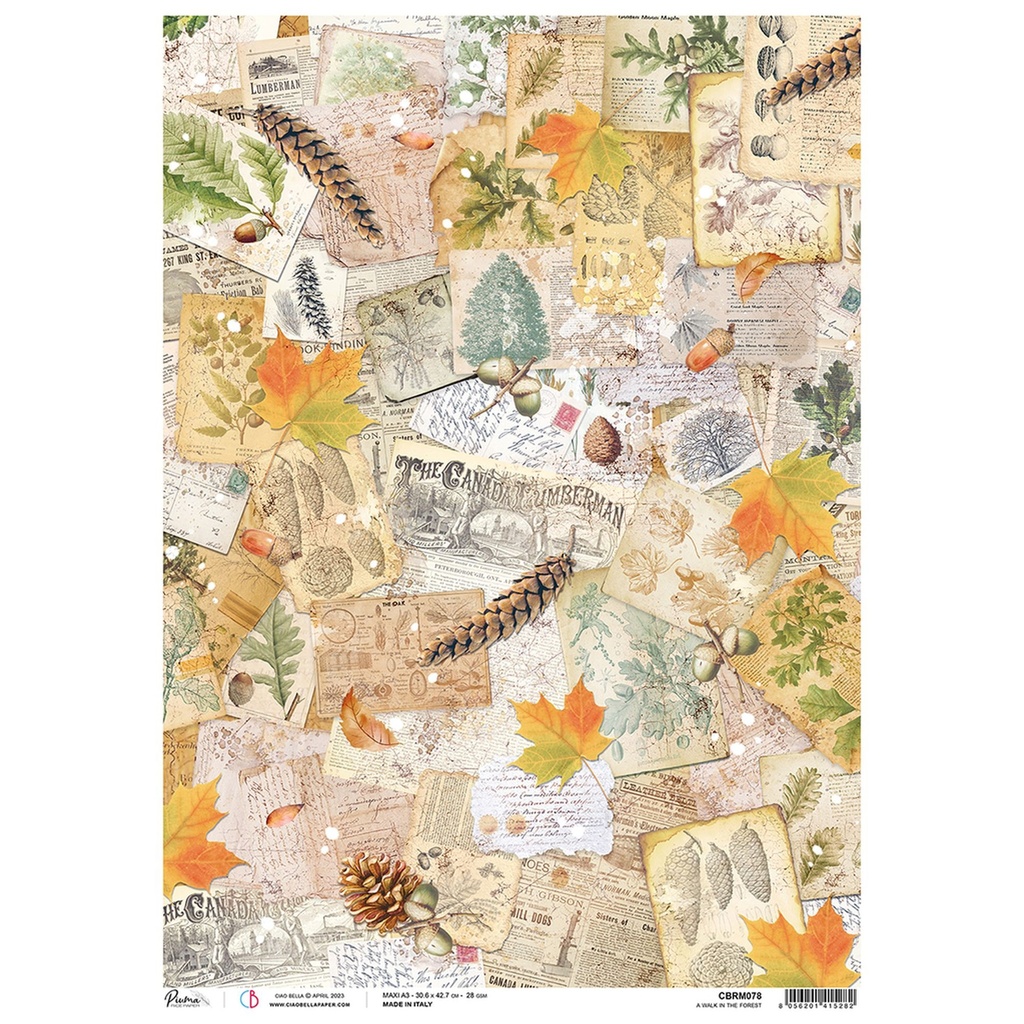 A Walk In The Forest  - Ciao Bella Piuma Rice Paper A3 - 3 Pack