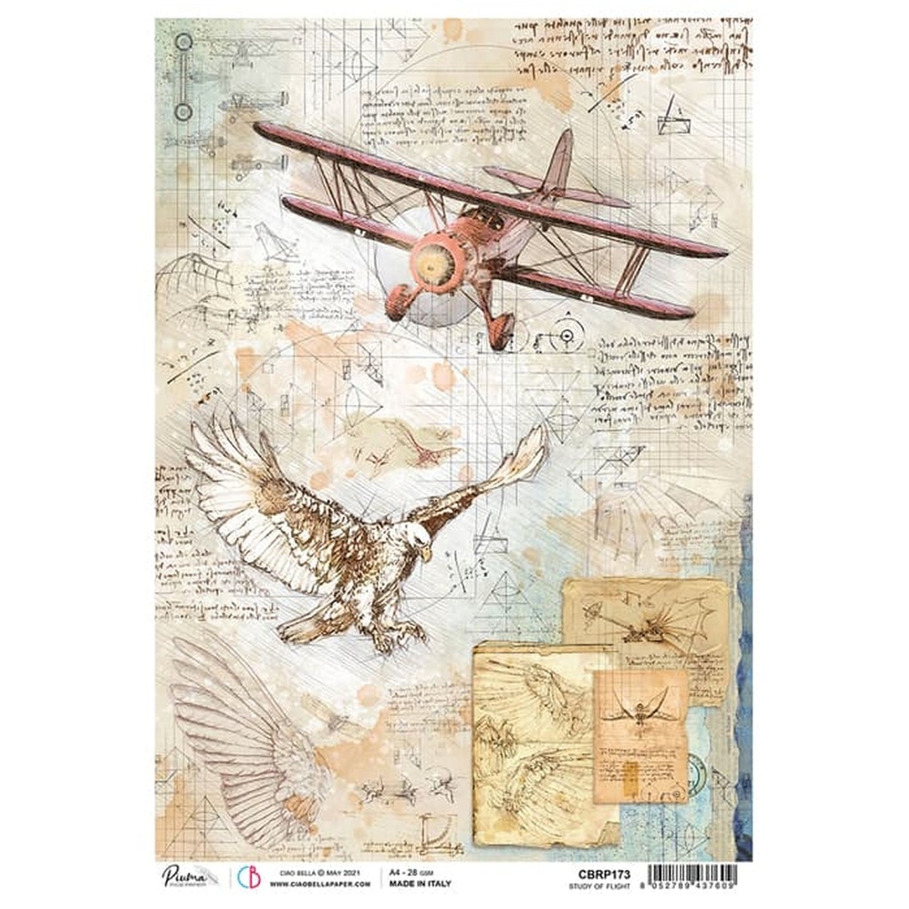 Study Of Flight - Ciao Bella Piuma Rice Paper A4 - 5 Pack