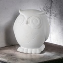 XL Hoot (owl) money Box (carton of 4)