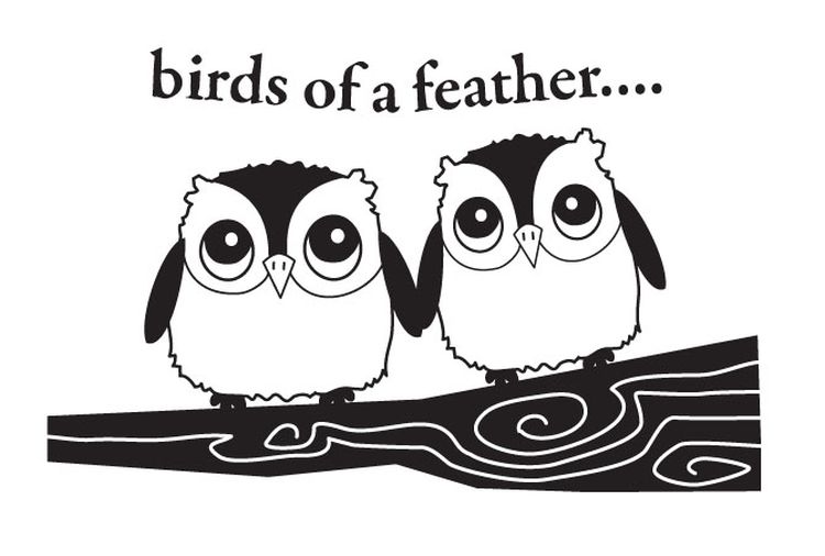 Owls Of A Feather