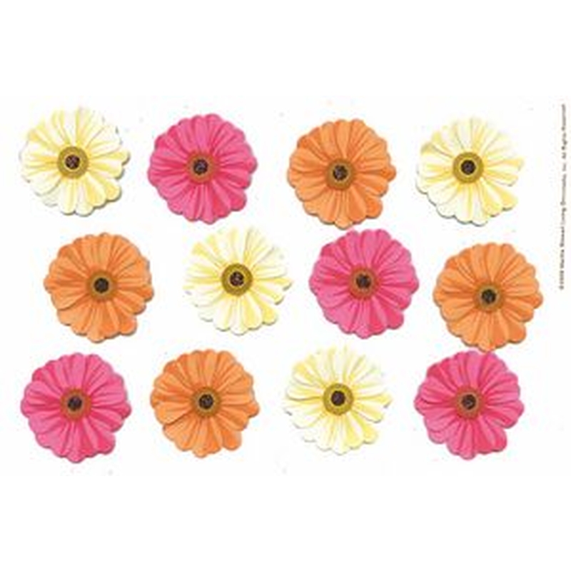 Pink-Orange-Cream Zinnia Stick