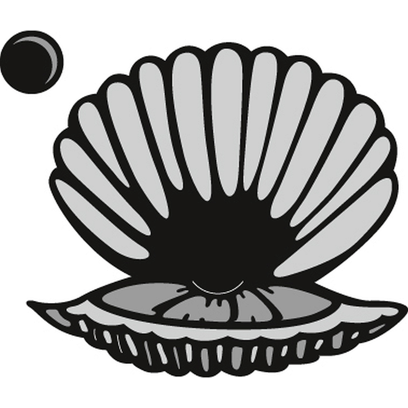 Scallop