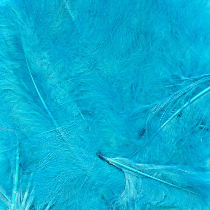 Feathers - Turquoise -3"-8" 8g No.5