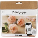 Mini Craft Kit Crepe Paper, Carnations, Crêpe ratio: 180%, 105 g, 1 pack